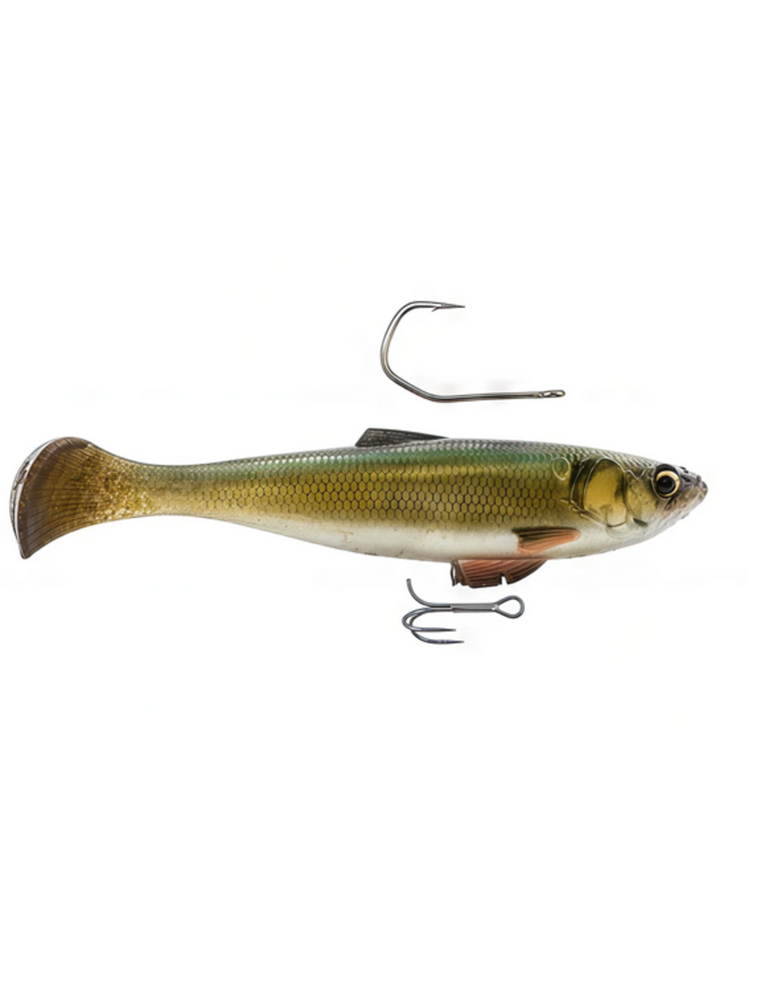 Z-Man Z-Man Swag LT 5" Golden Shiner