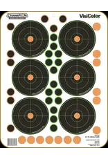 Champion Champion - Adhesive Visicolor Target - 25 Yard Small Bore - 5pk - 46133