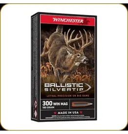 Winchester Winchester - 300 Win Mag - 180 Gr - Ballistic SilverTip - 20ct - SBST300