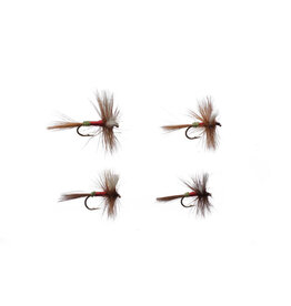 Cortland Cortland Royal Wulff Assortment 4 Pack