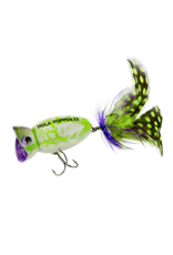 Arbogast Arbogast Hula Popper 2.0