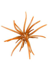 Hag's Baits Hag's Baits Prickly Pear