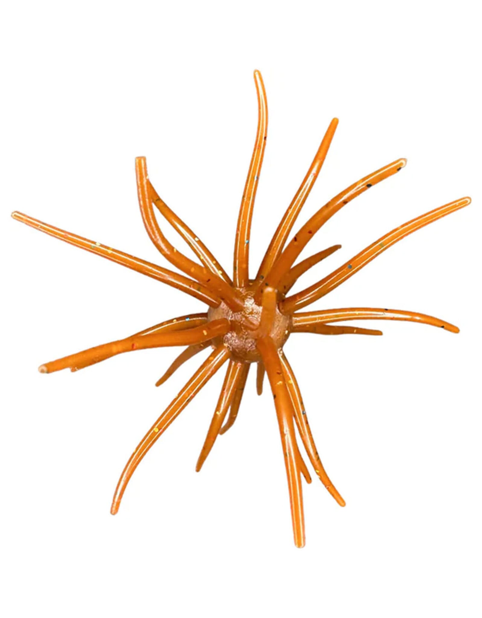 Hag's Baits Hag's Baits Prickly Pear