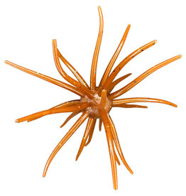 Hag's Baits Hag's Baits Prickly Pear