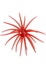 Hag's Baits Hag's Baits Prickly Pear