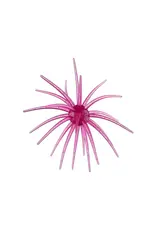 Hag's Baits Hag's Baits Prickly Pear