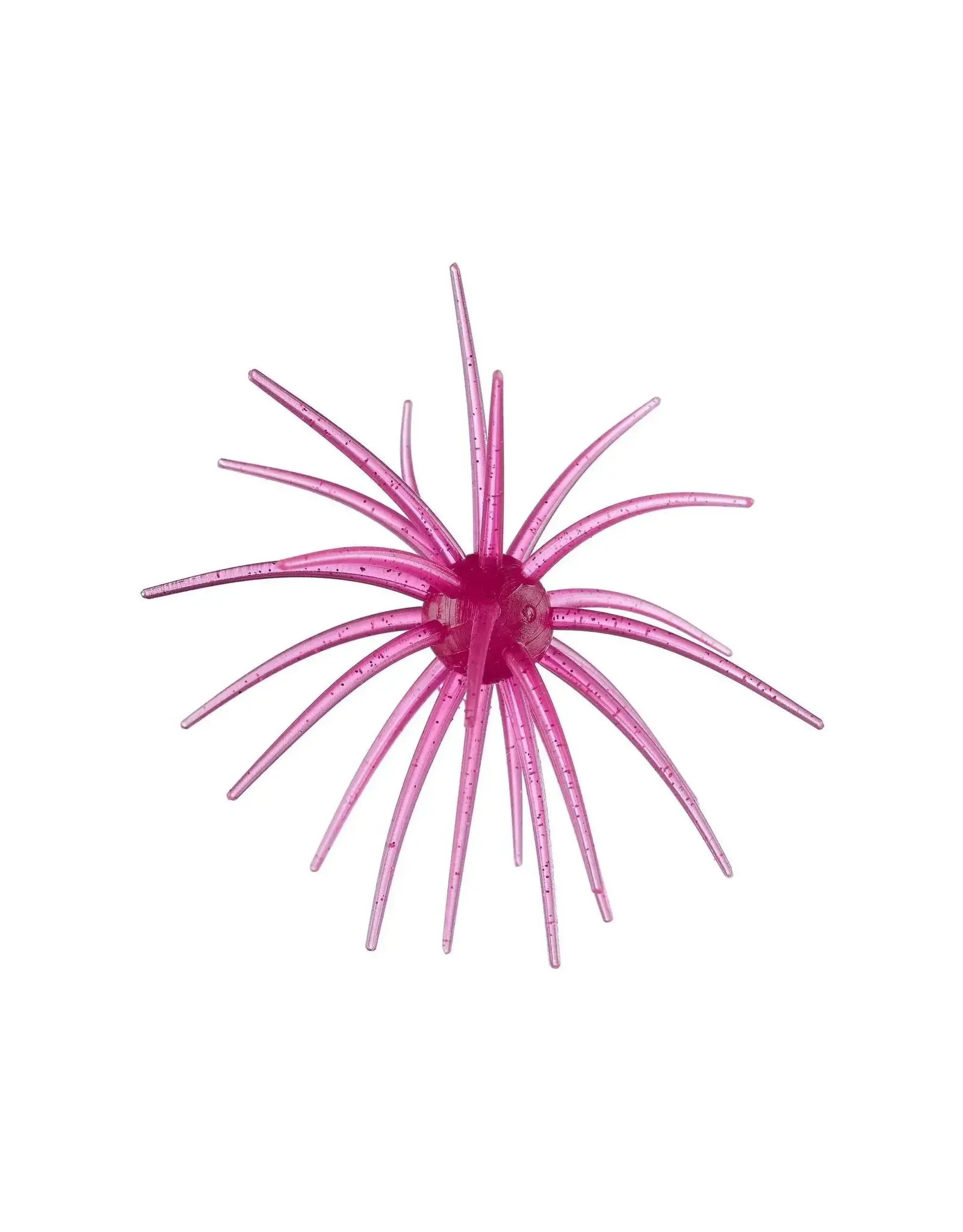 Hag's Baits Hag's Baits Prickly Pear