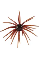 Hag's Baits Hag's Baits Prickly Pear