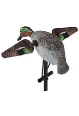 Lucky Duck Lucky Duck Lucky Teal HD