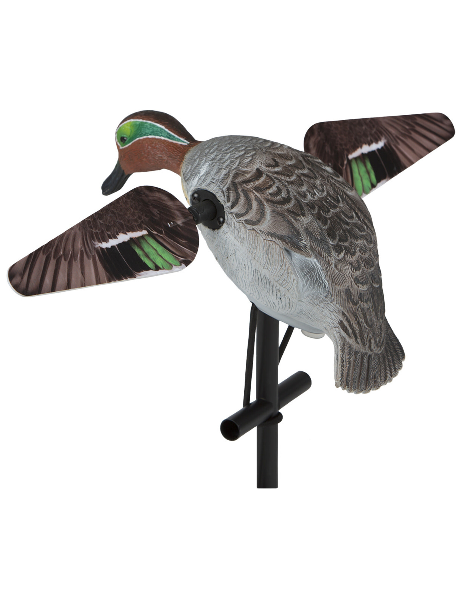 Lucky Duck Lucky Duck Lucky Teal HD