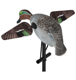 Lucky Duck Lucky Duck Lucky Teal HD