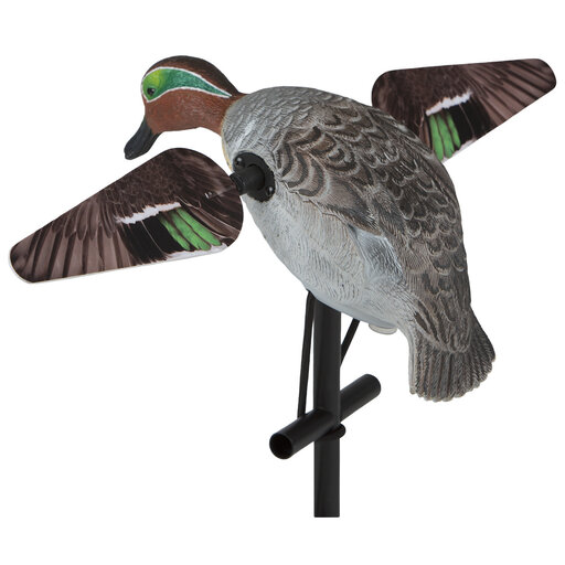 Lucky Duck Lucky Teal HD