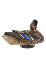 Avian X Power Shaker Motion Decoys - Mallard Hen Preener