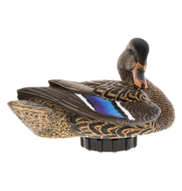 Avian X Power Shaker Motion Decoys - Mallard Hen Preener