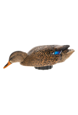 Avian X Power Shaker Motion Decoys - Mallard Hen Surface Feeder