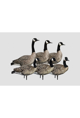 Avian-X Avian X Honkers Realistic Full Body with AXP 6 Piece Honker Sentry Goose Decoys AVX-HONK-6PK