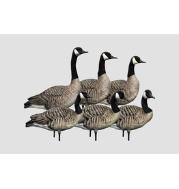 Avian-X Avian X Honkers Realistic Full Body with AXP 6 Piece Honker Sentry Goose Decoys AVX-HONK-6PK
