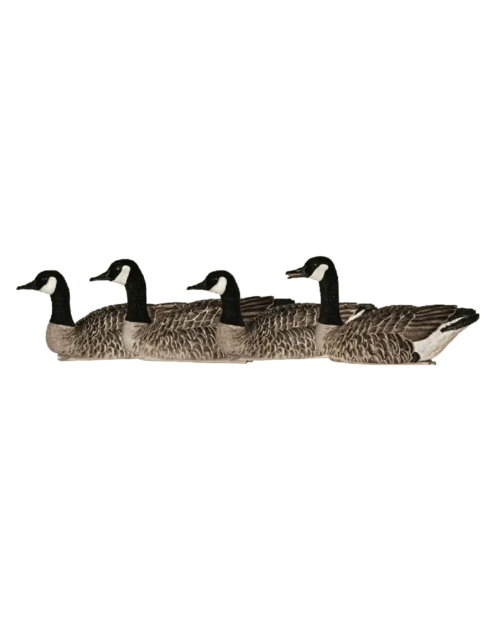 Avian-X Avian X Top Flight Honkers - 4 Goose Decoys (2 swimmers/1 caller/1 sentry AVX9040