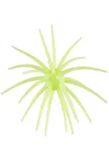Hag's Baits Hag's Baits Prickly Pear Llano Lime 19mm