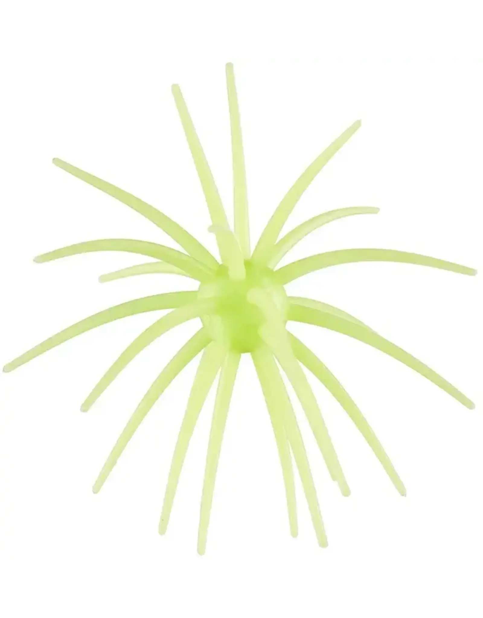 Hag's Baits Hag's Baits Prickly Pear Llano Lime 19mm