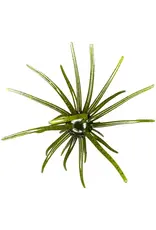 Hag's Baits Hag's Baits Prickly Pear Hag's Pumpkin 9.9mm