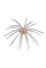 Hag's Baits Hag's Baits Prickly Pear Big Tex Frio Flash 25mm