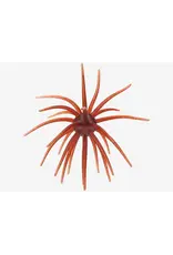Hag's Baits Hag's Baits Prickly Pear Big Tex 25mm