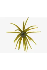 Hag's Baits Hag's Baits Prickly Pear Big Tex 25mm