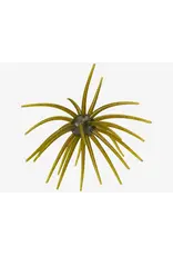 Hag's Baits Hag's Baits Prickly Pear Big Tex 25mm