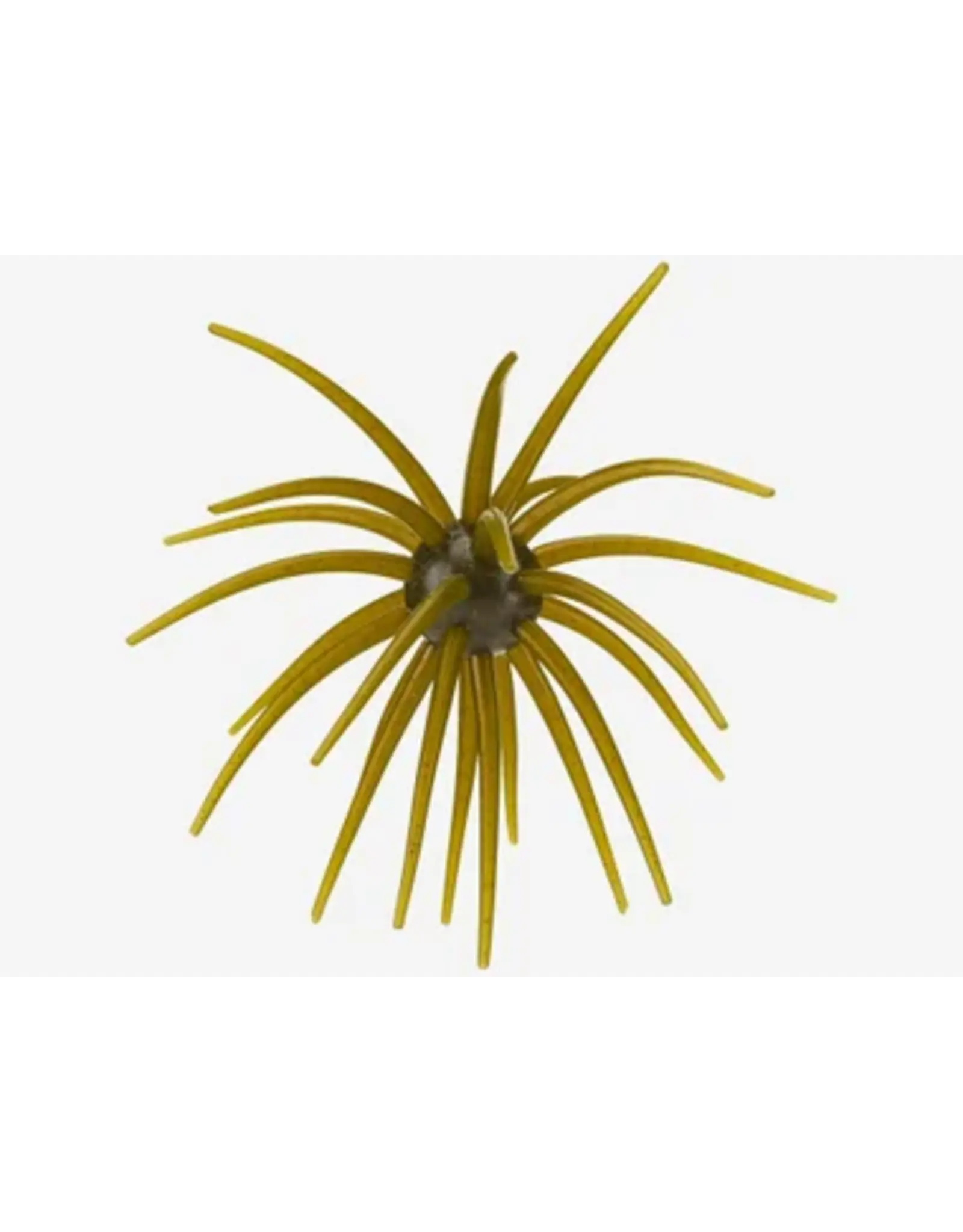 Hag's Baits Hag's Baits Prickly Pear Big Tex 25mm