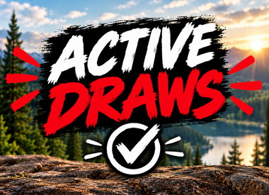 Active Draws
