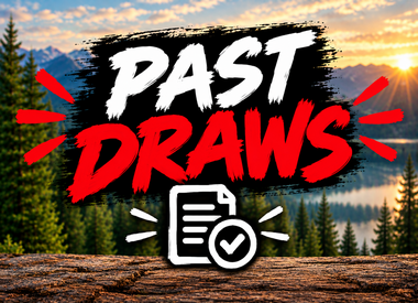 Past Draws