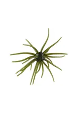 Hag's Baits Hag's Baits Prickly Pear Hag's Pumpkin 19mm