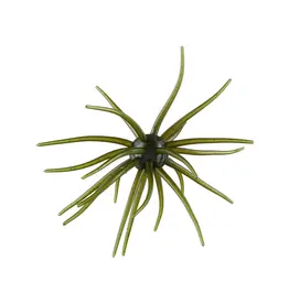 Hag's Baits Hag's Baits Prickly Pear Hag's Pumpkin 19mm
