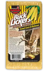 Evolved Habitats Evolved Habitats 4lb Buck Lickers