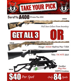 DRAW #2013 - Take Your Pick - Beretta OR Take All 3!
