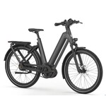 Gazelle Gazelle Eclipse C380+ Low Anth Grey 50 cm