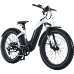 Denago Denago Fat Tire Step Through eBike Black / White