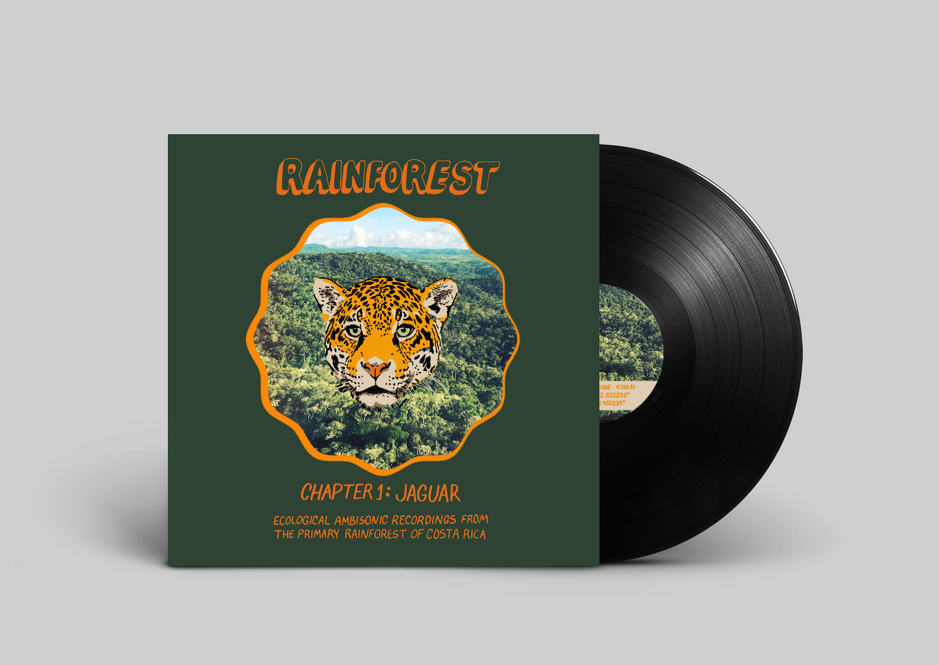 Never Apart Vinyl Record "EAR 001: Rainforest"