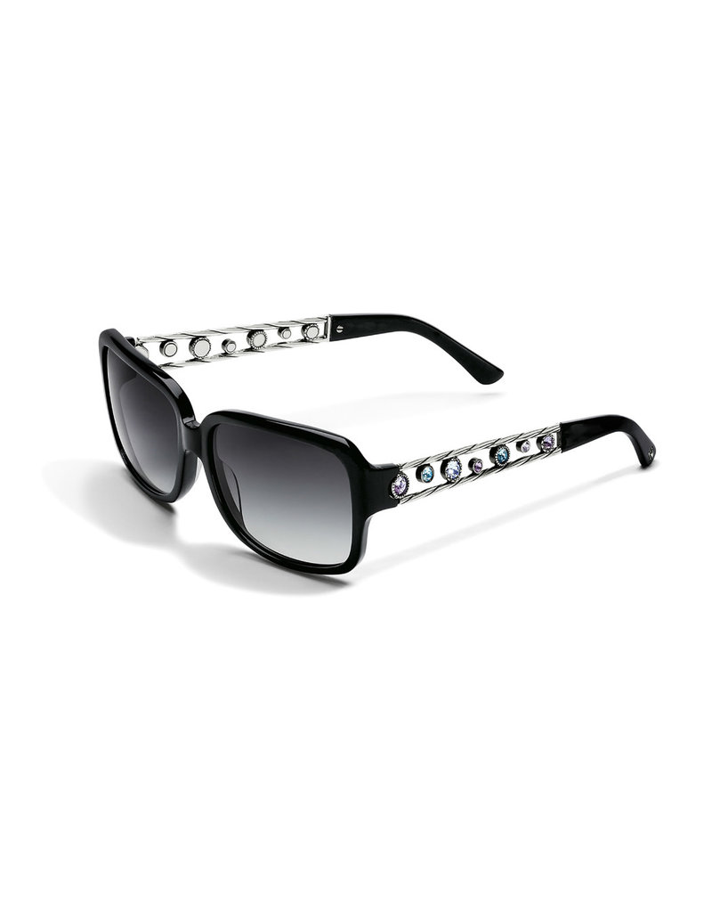 brighton sunglasses