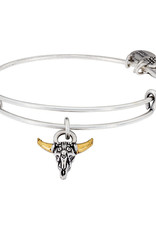 ALEX AND ANI A17EBSPSRS SPIRITED SKULL SILVER