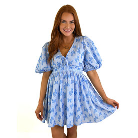  BLUE BOW DRESS