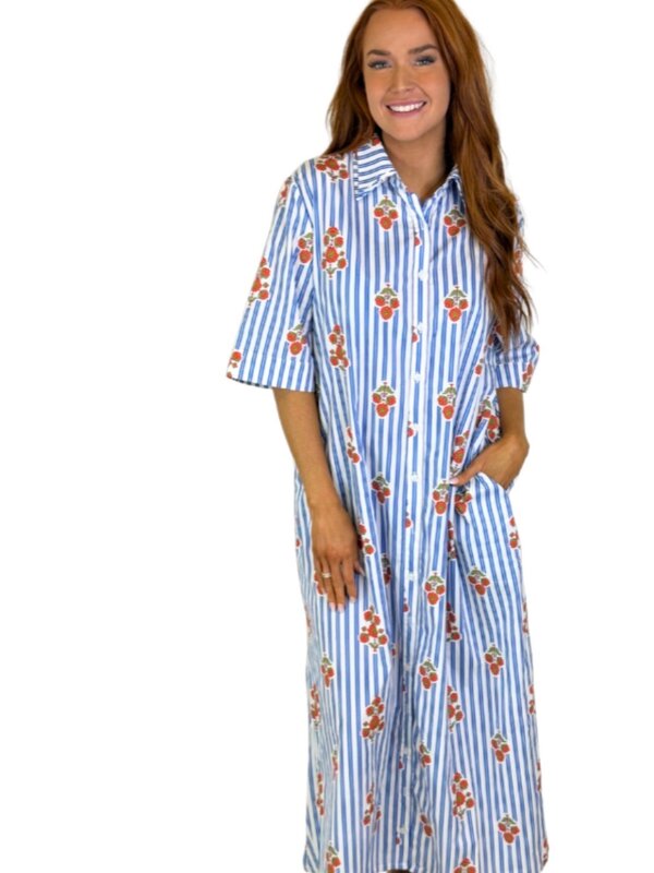 BLUE STRIPE FLORAL MAXI DRESS