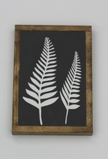 Fern Picture