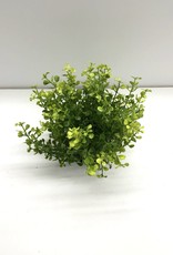 6.5" Baby Grass 1/2 Orb