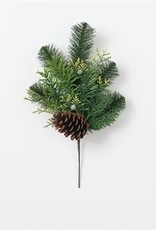 Australian Pine Pick