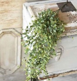 Seraph Vine Hanging Bush, 34"