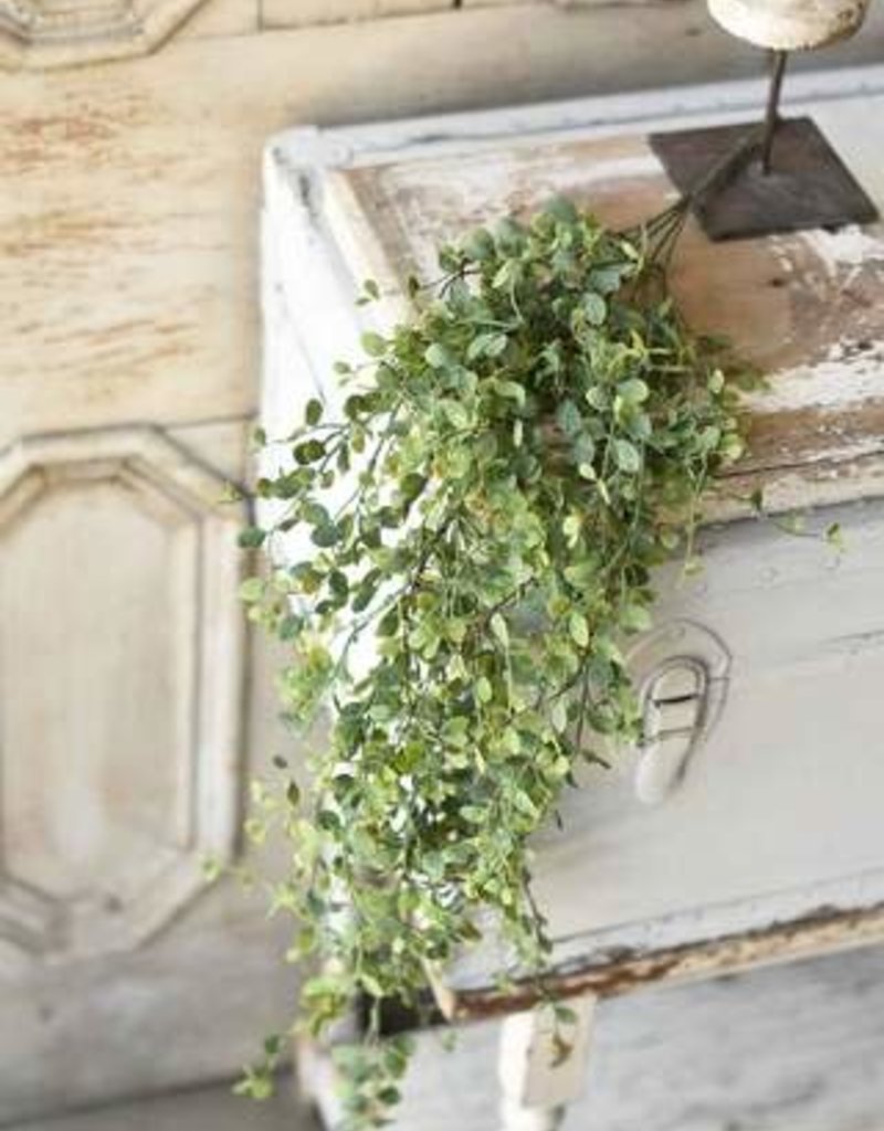 Seraph Vine Hanging Bush, 34"