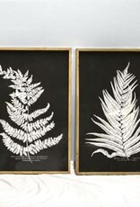 40" Fern Wall Art