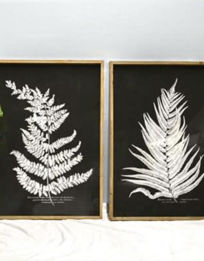 40" Fern Wall Art